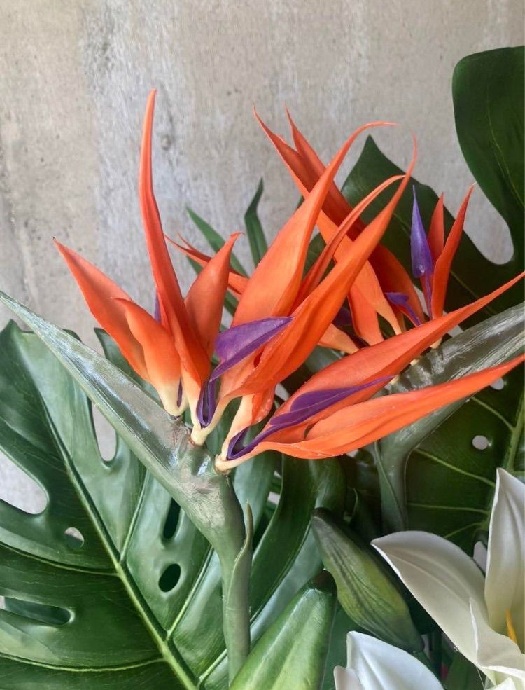 光触媒 人工観葉植物 ウォールグリーン カサブランカアレンジb 光触媒