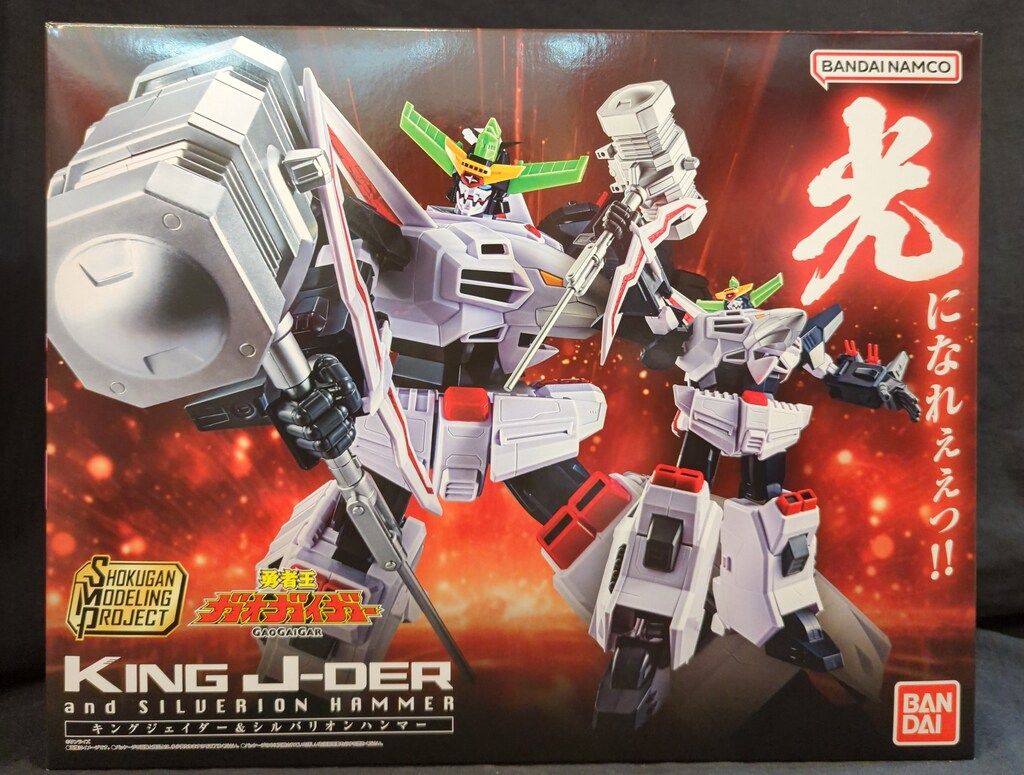 DI CLASSE シガロ フラット4 シーリングライト ブラック 「7171