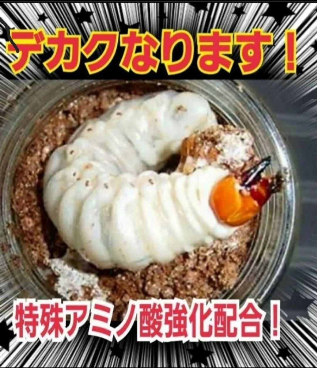 800ml 12本セット