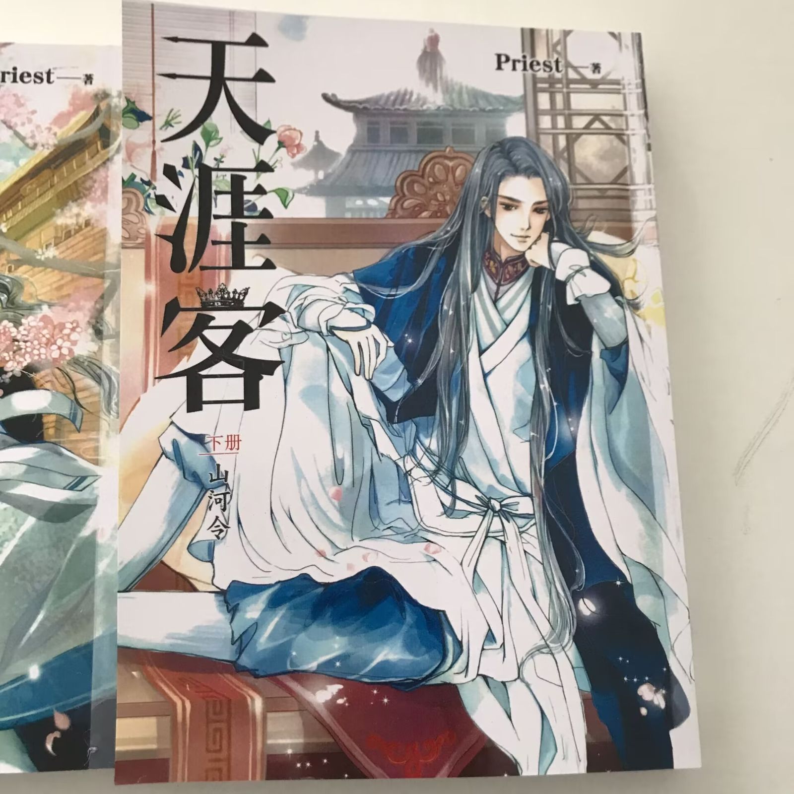 天涯客 山河令 中国ドラマ 原作 2冊セット - メルカリ