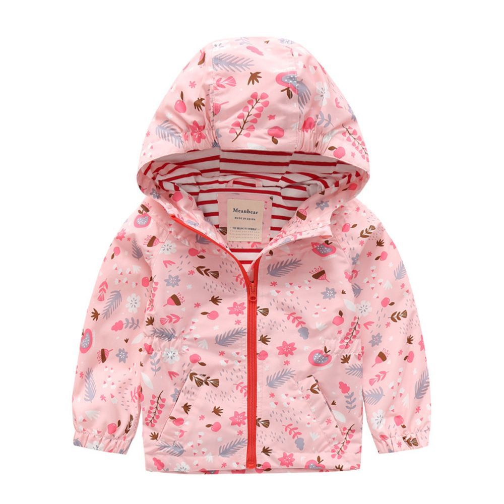 中古】 竹内栖鳳の画手本 (1978年)