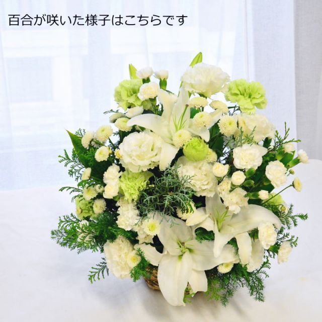 お供え花 花 フラワーアレンジメント 生花 お供え ユリ 百合 フラワー お供 フラワーギフト アレンジメント アレンジ ゆり 命日 月命日 おくやみ お悔み お供花 ギフト 仏前 白 グリーン お供え_百合の香07 100 AOK s お花 指定日 GEBZETESISAT_COM_TR
