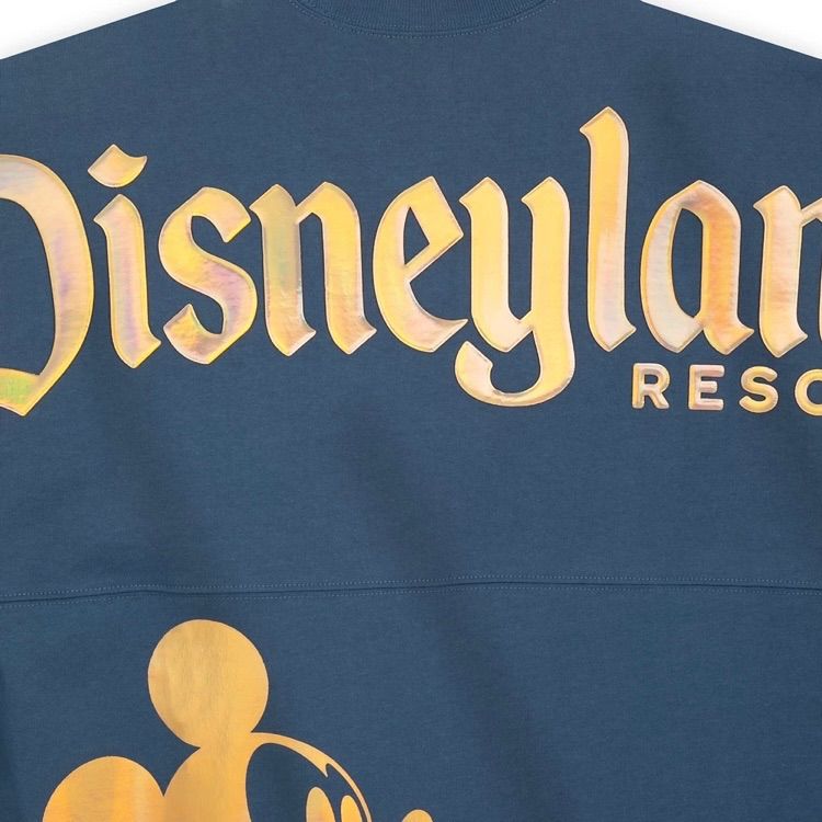 【期間限定値下げ】wdw 50周年　スピリットジャージー