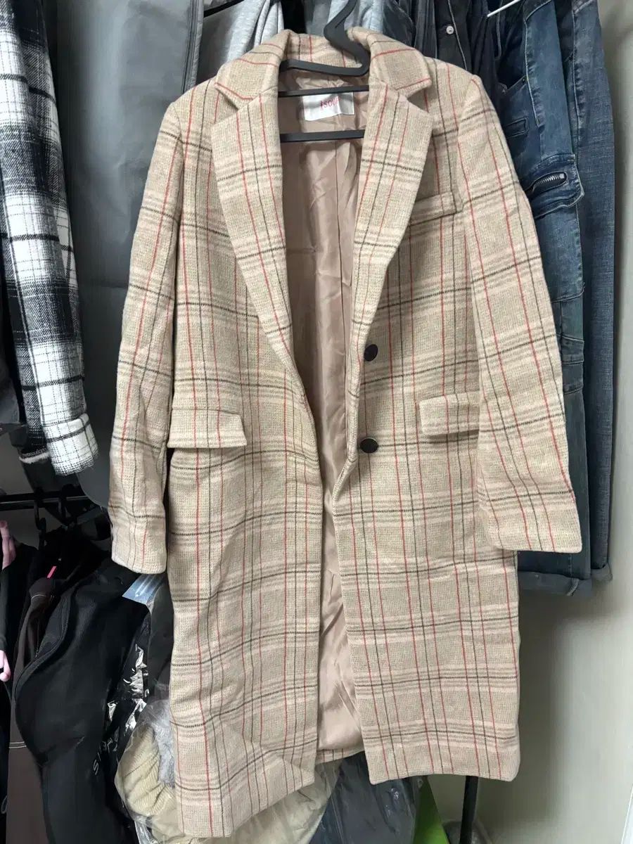 本鼈甲 オランダ船 ケース付 東Y7-1212①タトオ 小売業者