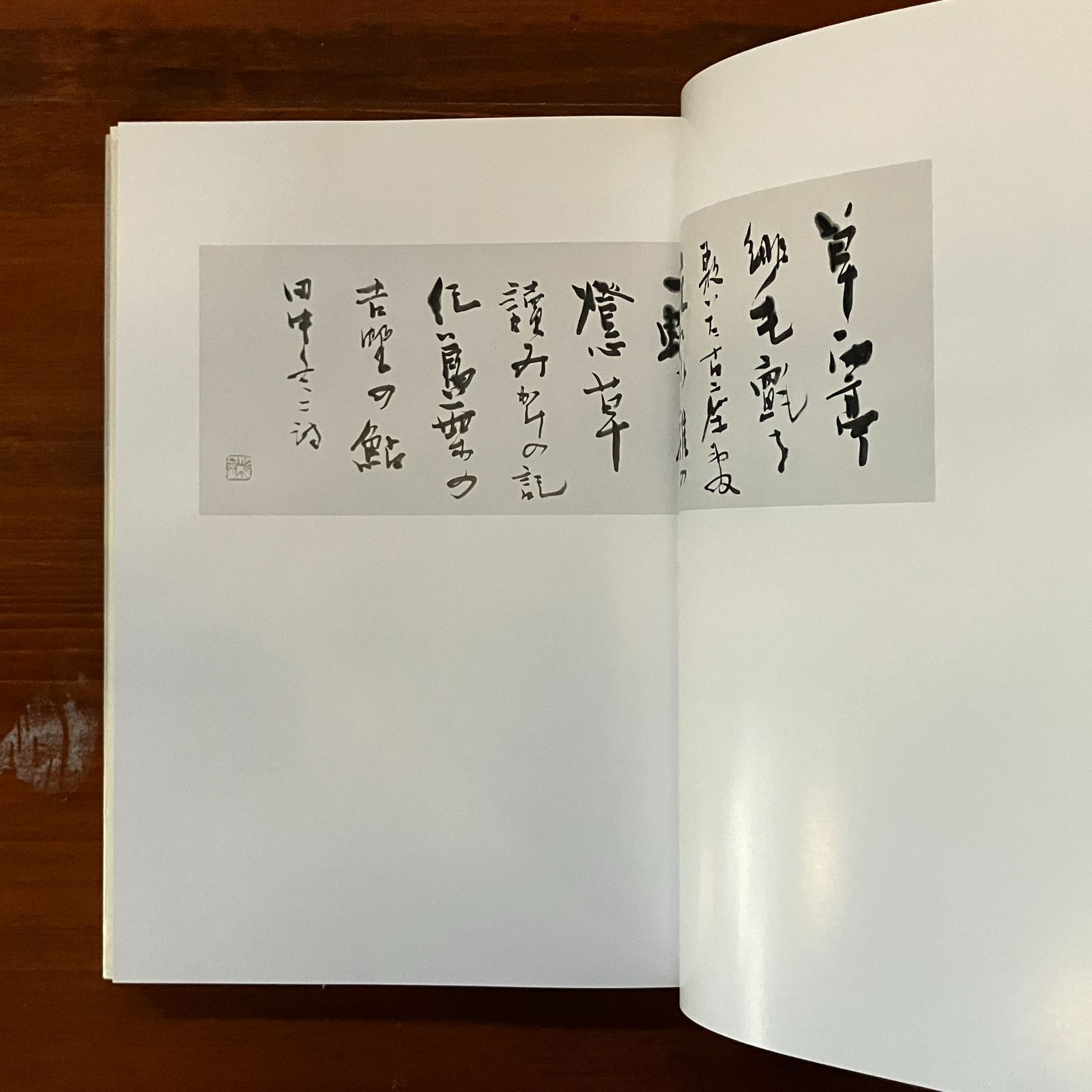 青山杉雨作品 1.2冊揃い 青山 杉雨【著】 1994.12 二玄社 2冊
