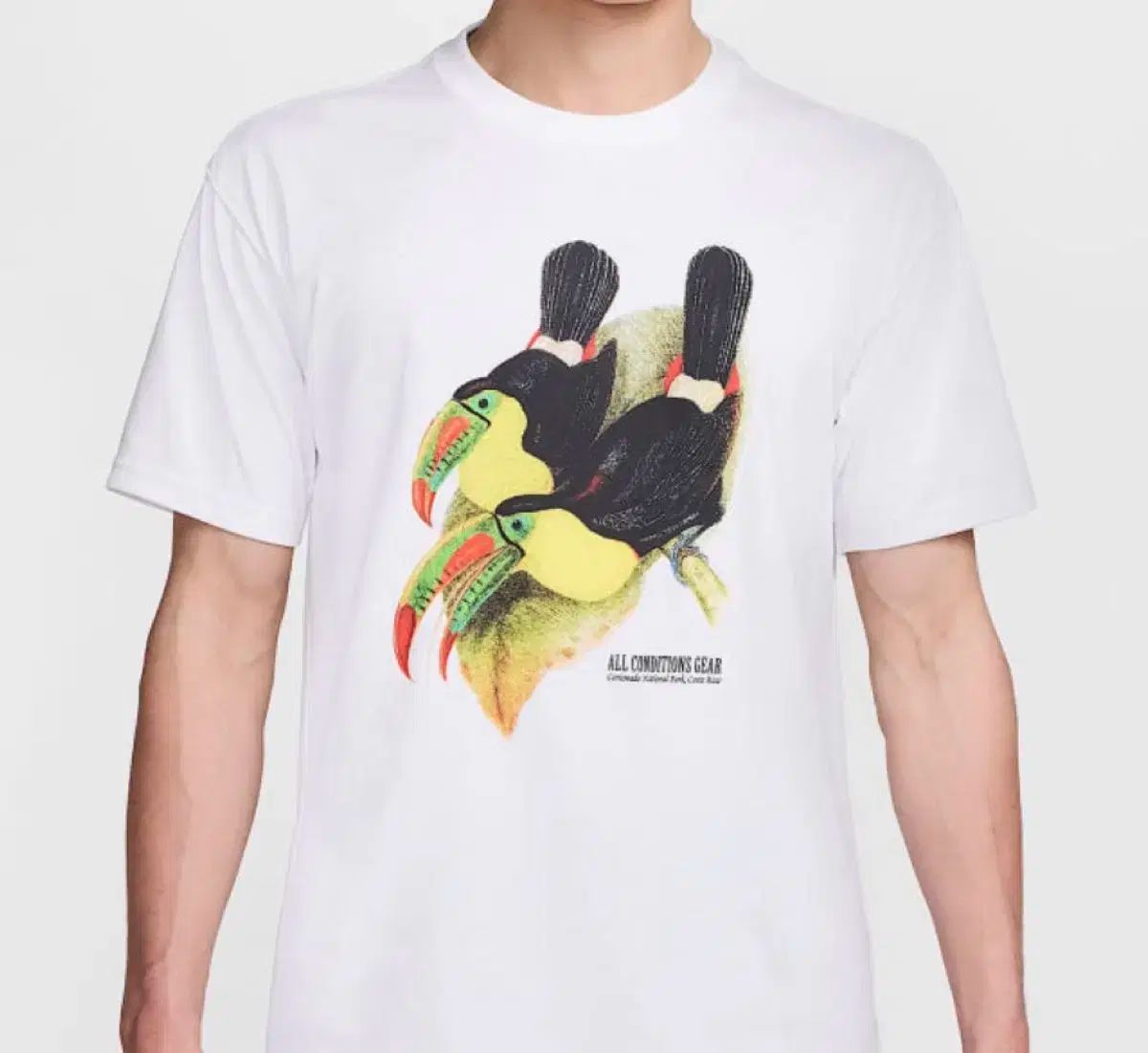 Nike(ナイキ） acg ドライフィット Tシャツ XXL 新品