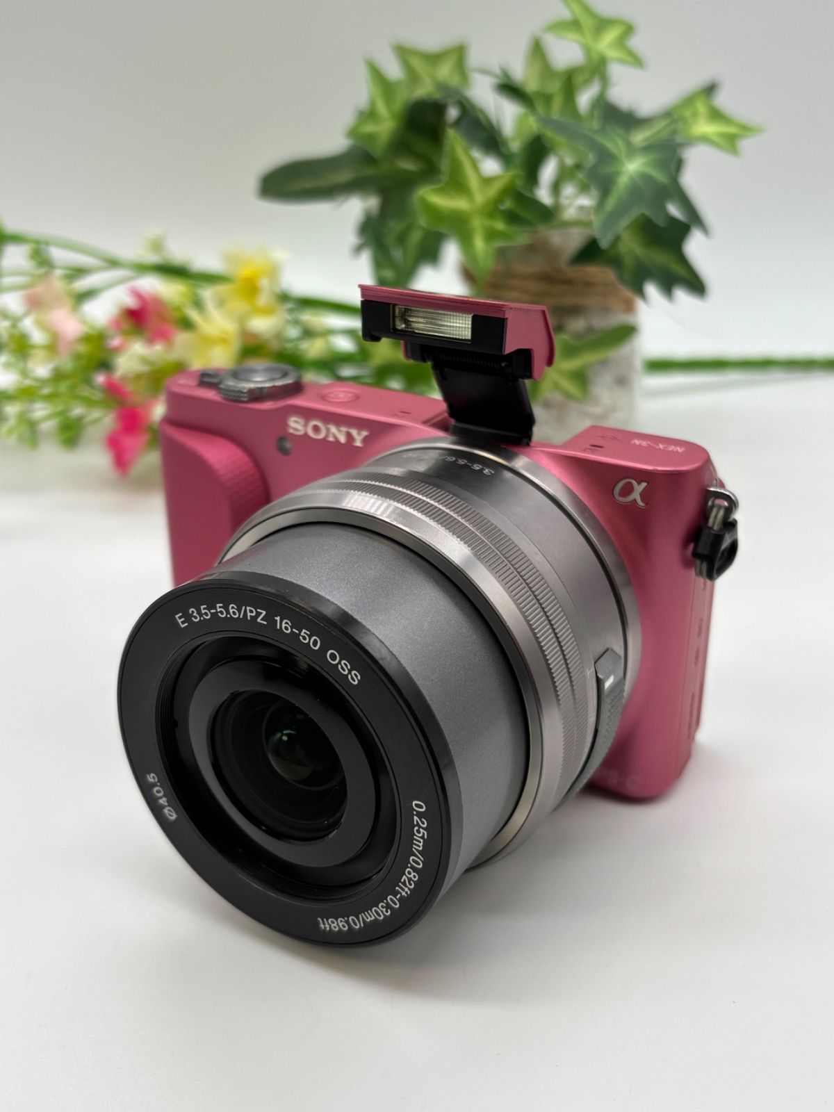 コンニチハ様 SONY ミラーレス一眼 デジカメ NEX-3N