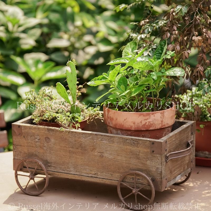 アイアンウッドカート 庭