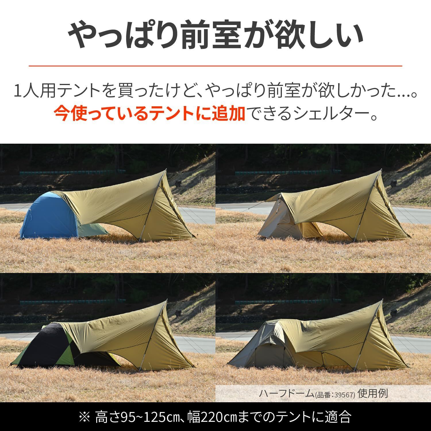 フォレストカーキ 44223
