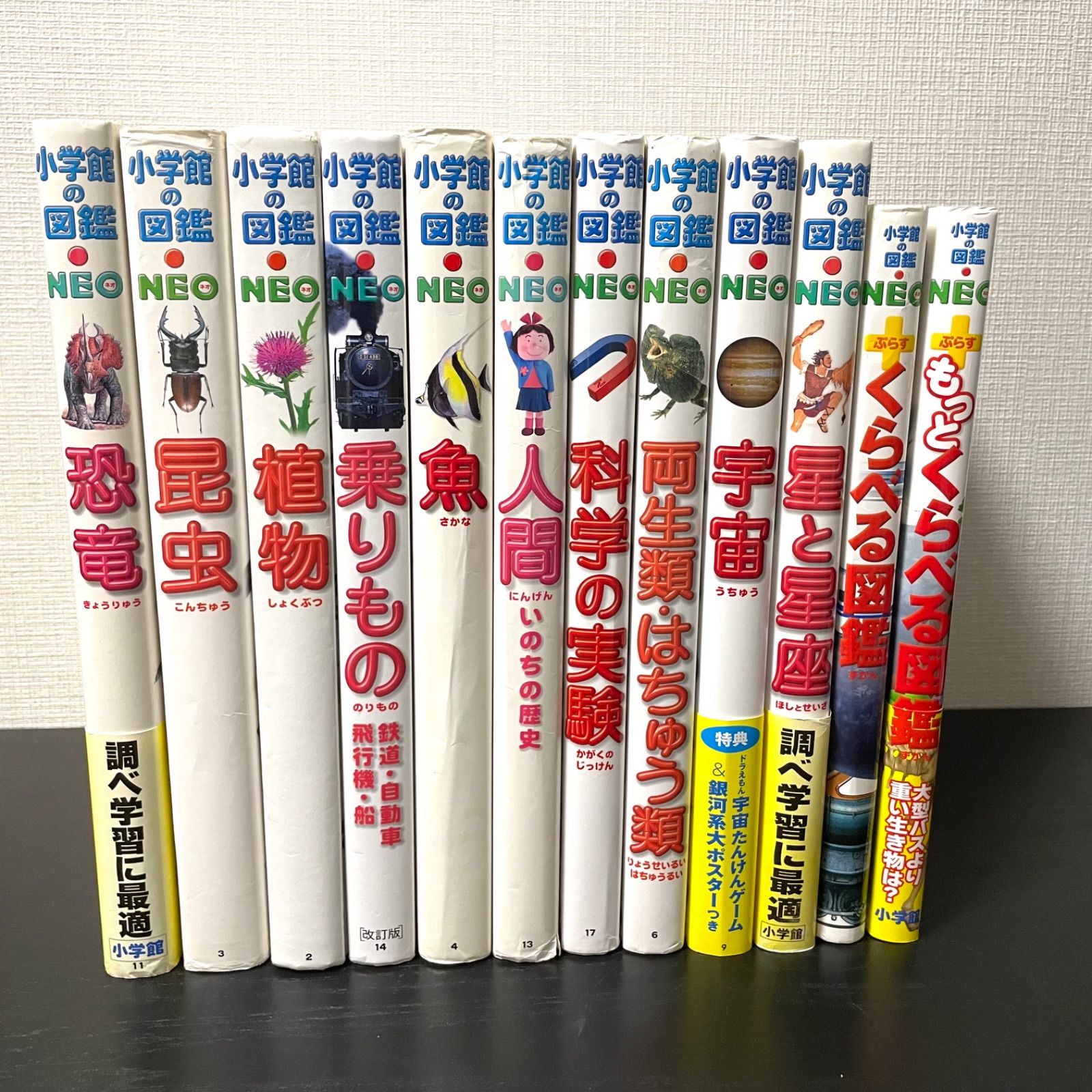 小学館の図鑑NEO 12巻 DVD無し セット まとめ売り