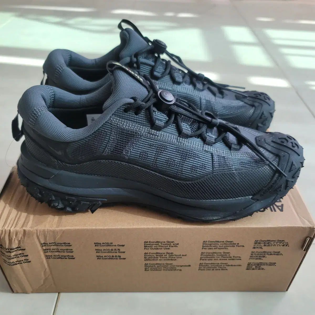 ナイキ ACG マウンテン フライ 2 ロー GXT 275mm