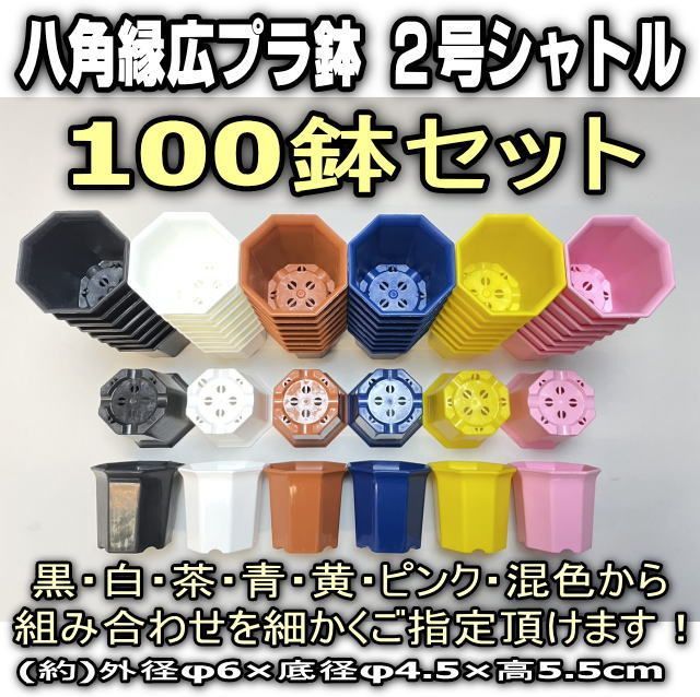 杉山知子 TOMOKO SUGIYAMA 現代アート ポップアート 油彩画