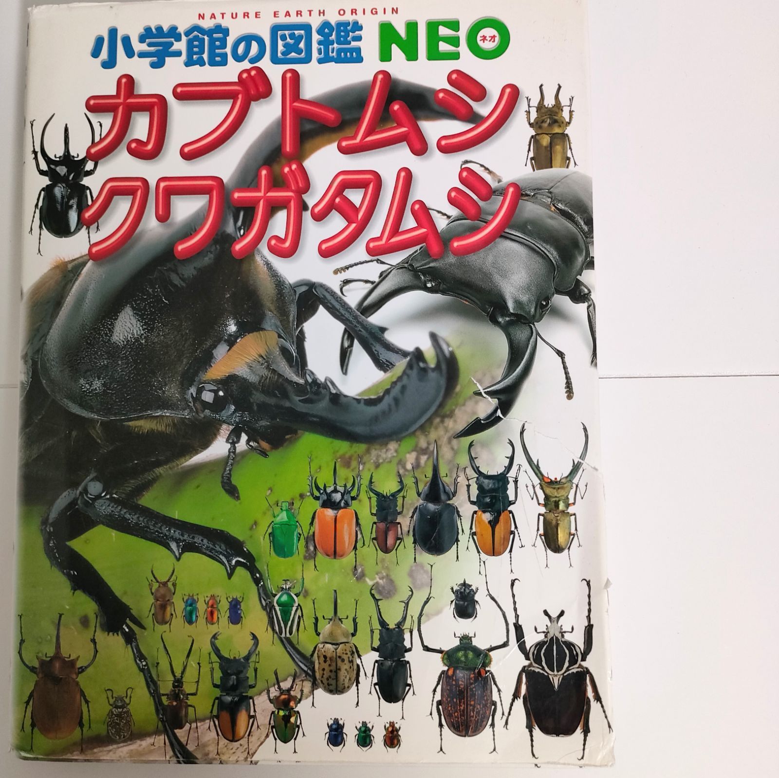 売れ筋の大人気 小学館の図鑑 NEO 16冊セット | wolrec.org