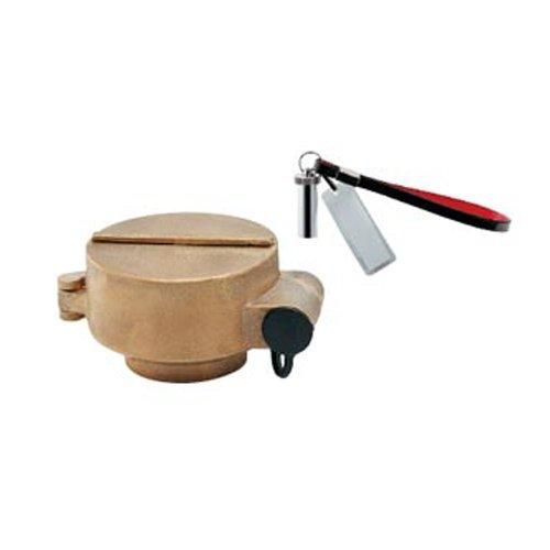 【新品・5営業日で発送】KAKUDAI カクダイ 閉栓キャップ(ボール止水栓用) 649-821-13