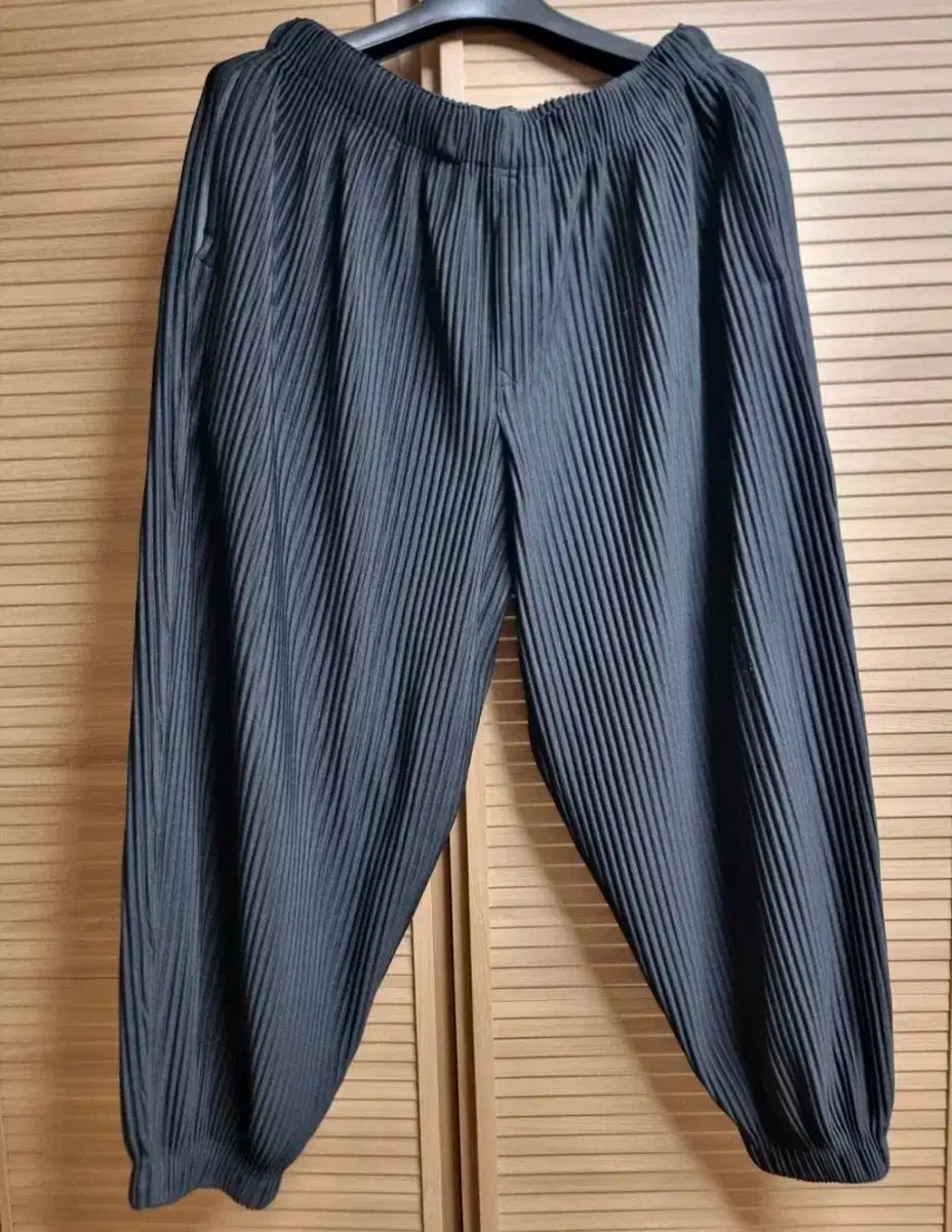 HOMME PLISSÉ オムプリッセ ISSEY MIYAKE イッセイミヤケ jf143 2 サイズ