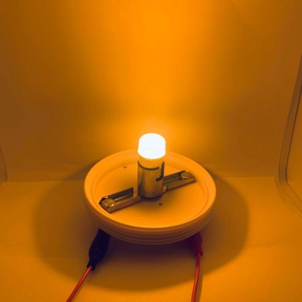 エスライト⭐︎ワンマン灯⭐︎デコトラ⭐︎バス エスライト