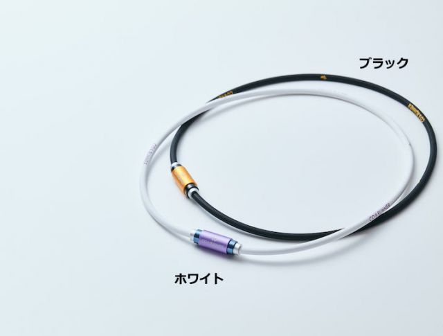 種類2