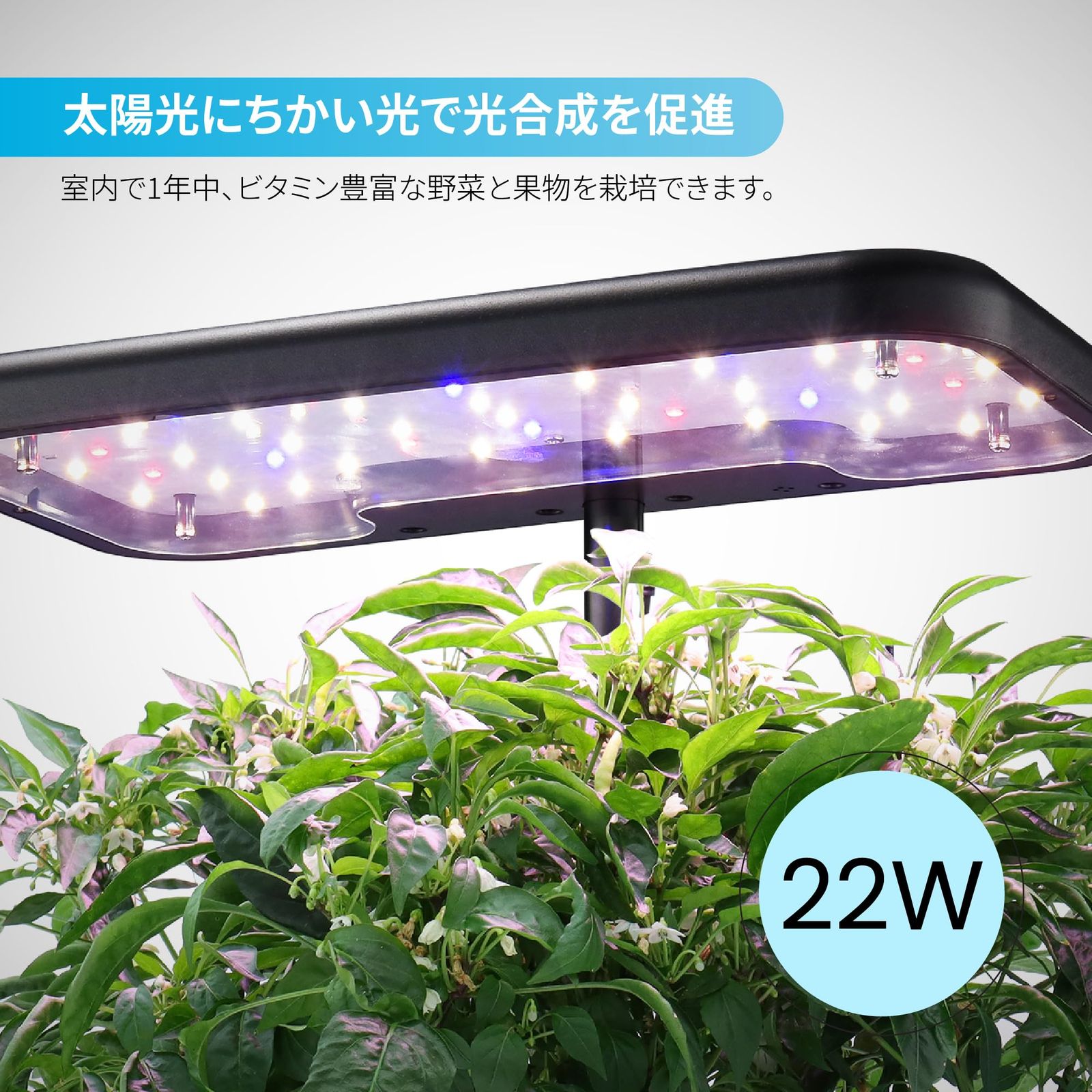 植物育成LEDライト付き