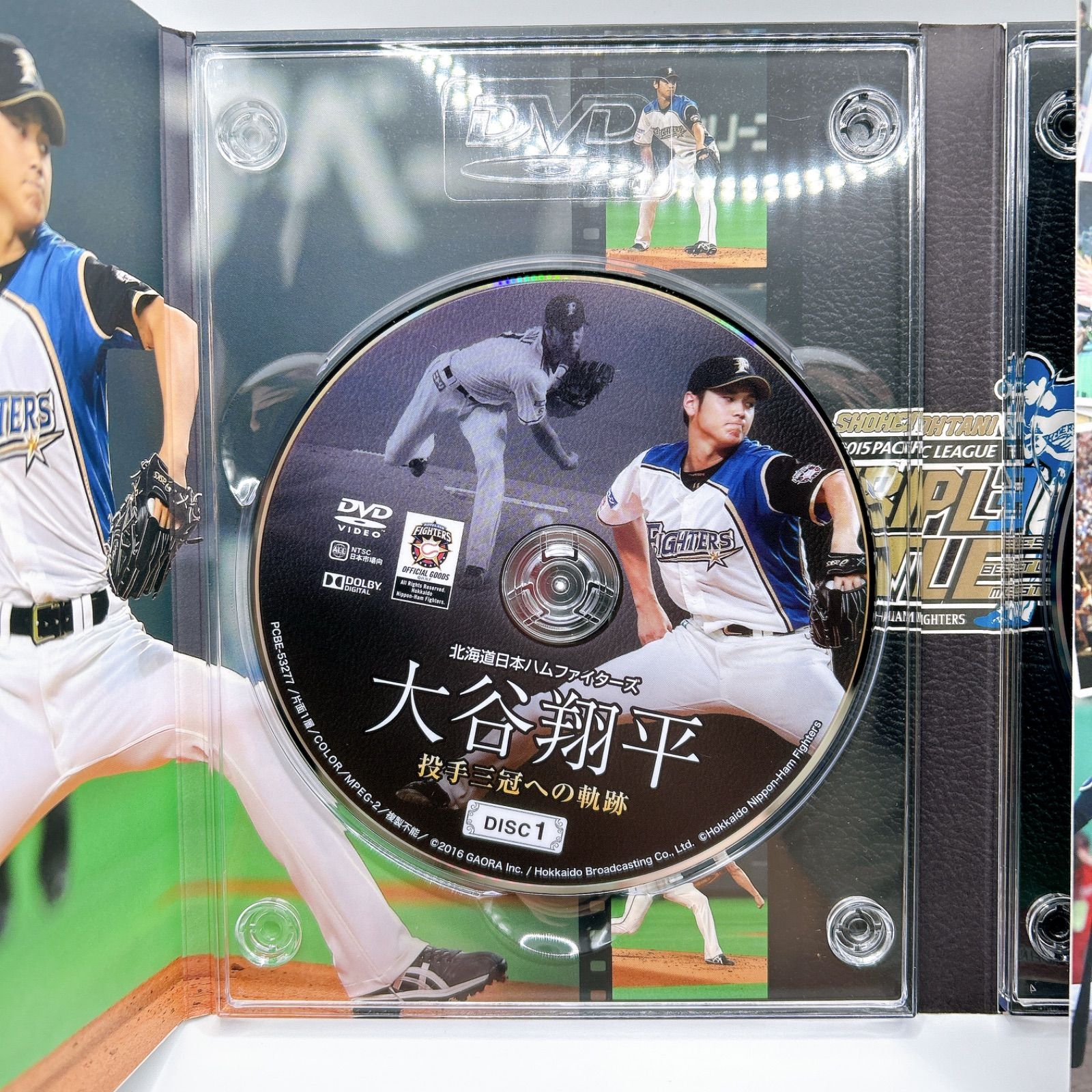 大谷翔平 投手三冠への軌跡 2枚組 アクリルスタンド付 アクリル