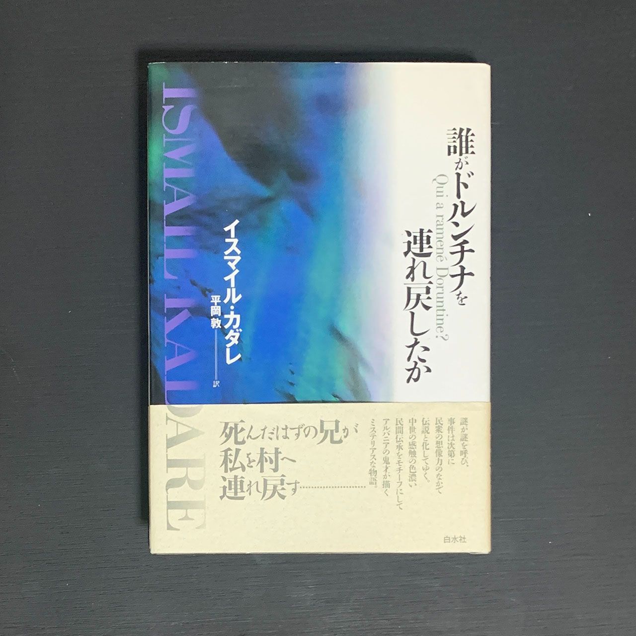 誰がドルンチナを連れ戻したか／イスマイル・カダレ／白水社／1994年