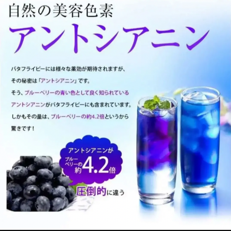 青いお茶 個包装 バタフライピーティー 10個セット 色が変わる アントシアニン 1包でたっぷり1L～2L分❣️  バタフライピー タイ産 眼精疲労を軽減 飲む日焼け止め  毎日あきない無味  無糖 無添加  ノンカフェイン プチギフト