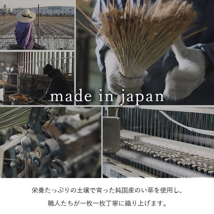 い草ラグ カーペット