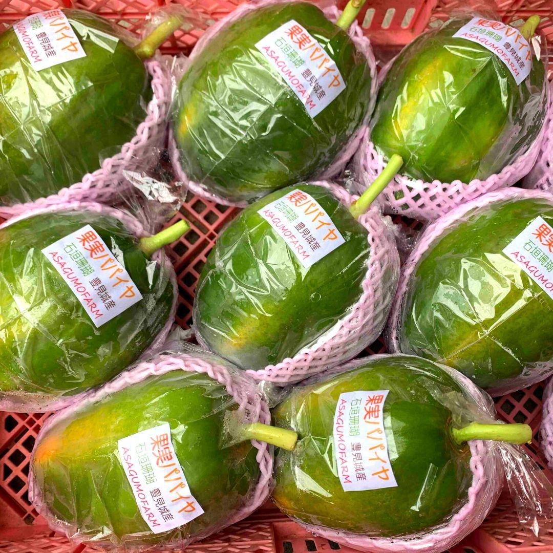 沖縄県産 フルーツパパイヤ 2玉（1㎏前後）国産 果物-3