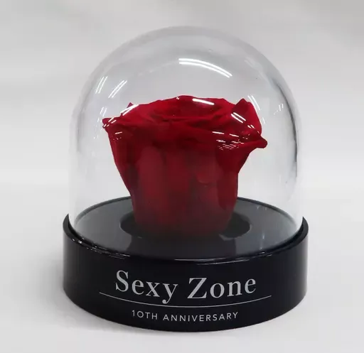 【 SexyZone 】 未開封 ちょっこりさん　10周年　ブルーレイ ローズ 2025年最新】sexyzone 10周年 バラの人気アイテム - メルカリ