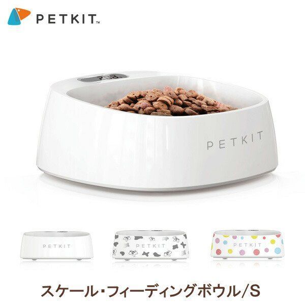 舶来品 中国古磁 越窯青磁 陽刻 絡枝花卉 鳳凰紋 茶碗 ショップ 茶道具