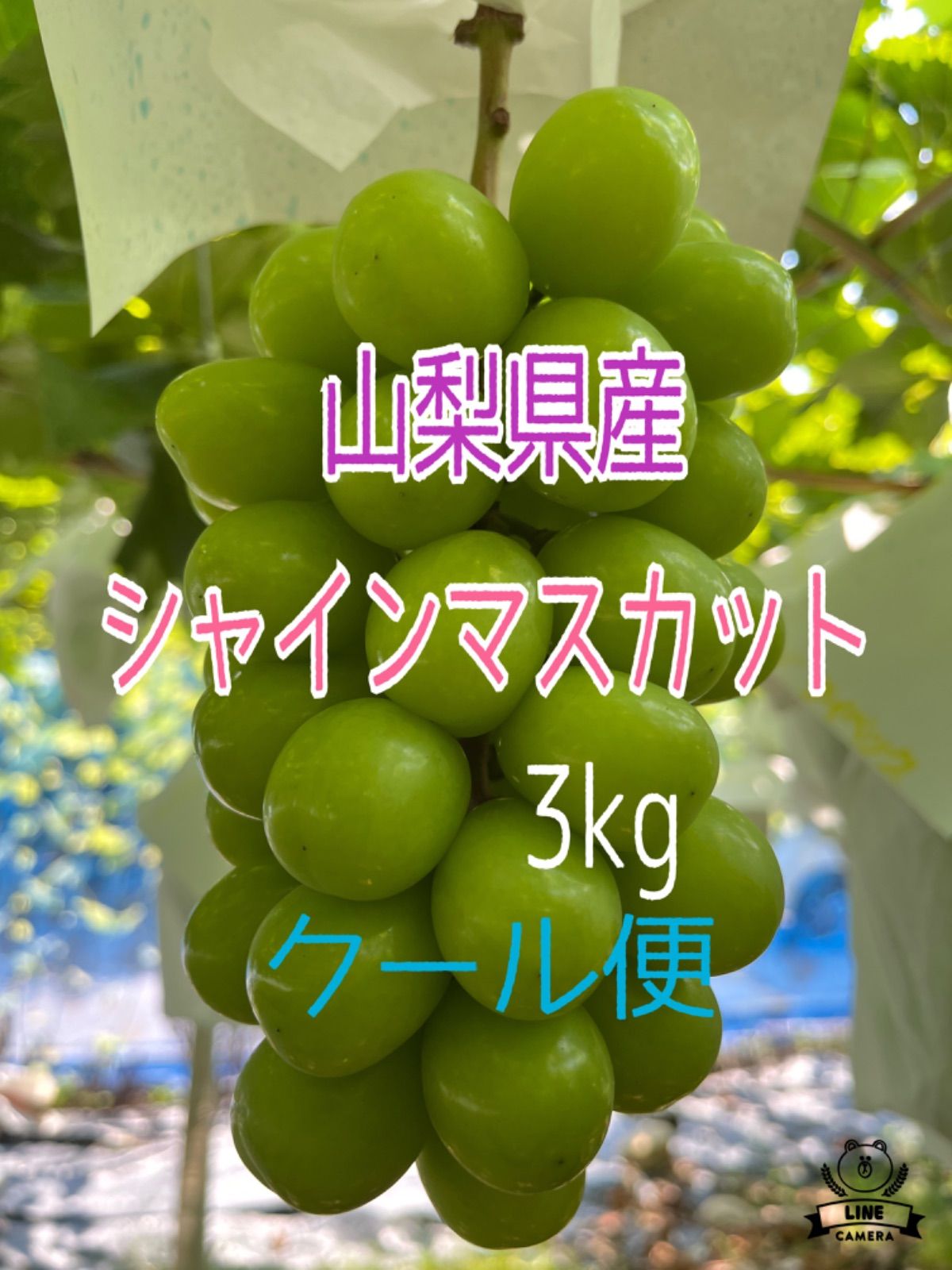 楽天市場】ぶどう 2kgの通販 大粒葡萄切り落とし7種 2キロ ×2箱