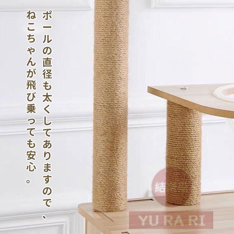 多頭飼い