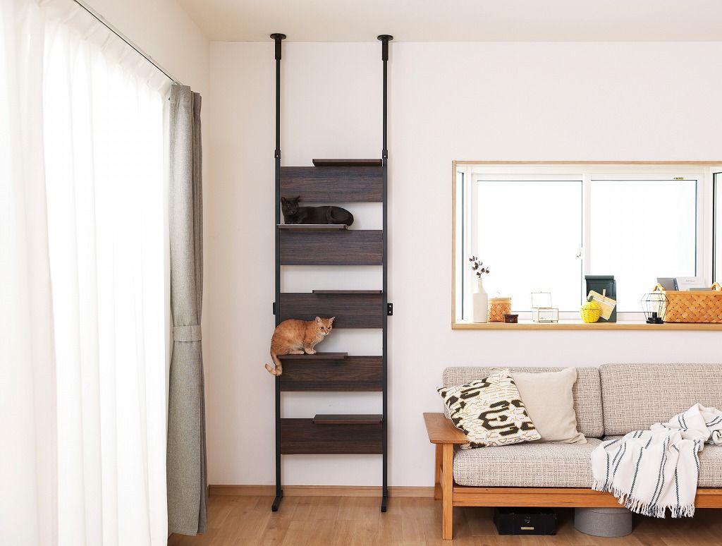 アイリスオーヤマ キャットステップ 5段 幅約68.1×奥行約30.4×高さ約208.5〜278.4cm 覗ける透明板 キャットタワー キャットウォーク 省スペース ウォールナット CATS-68 IRIS OHYAMA