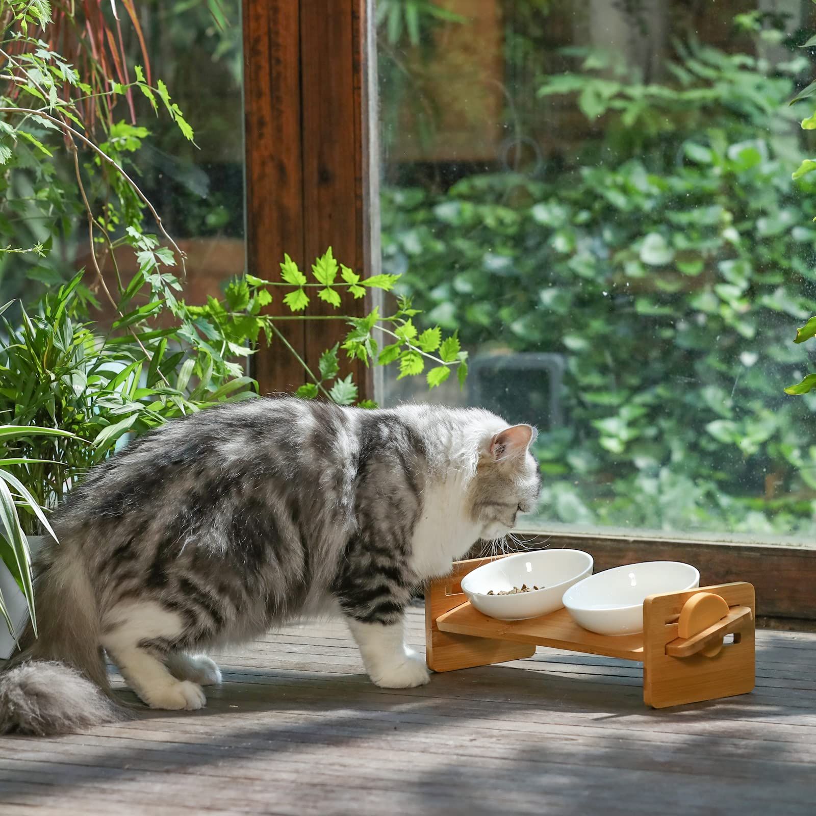 FUKUMARU 犬猫用スタンド付きセラミック食器、15度の角度つき、5種類のセ カテゴリ