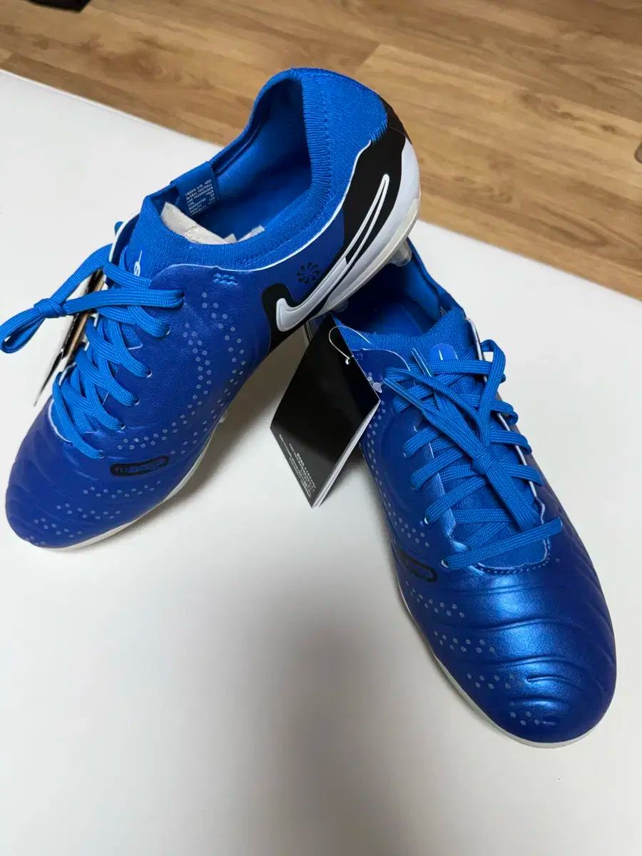 ナイキ ティエンポ レジェンド 10 プロ AG-PRO