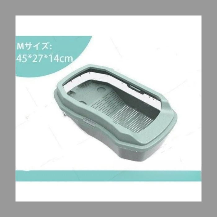 爬虫類 ボックス