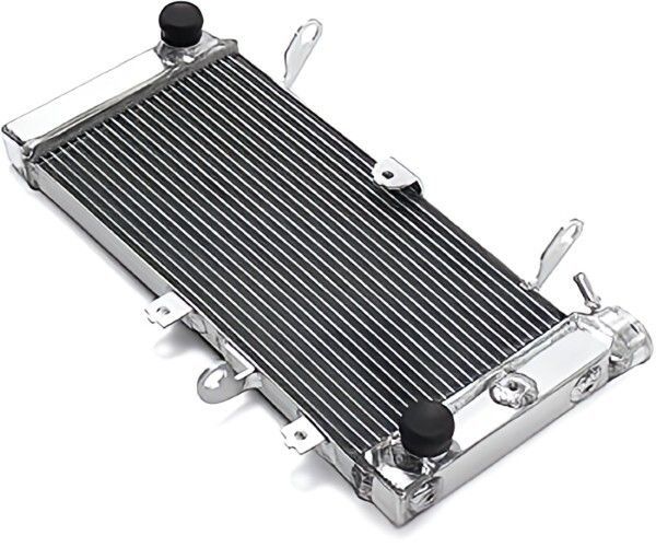スズキ SV650 ウォーターラジエター RADIATOR 17710-18K00-000 2017-2021 SUZUKI純正 Genuine JDM ♥ メーカー純正品