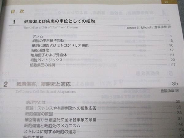 エルゼビアジャパン ロビンス基礎病理学 原書10版 2018 Kumar