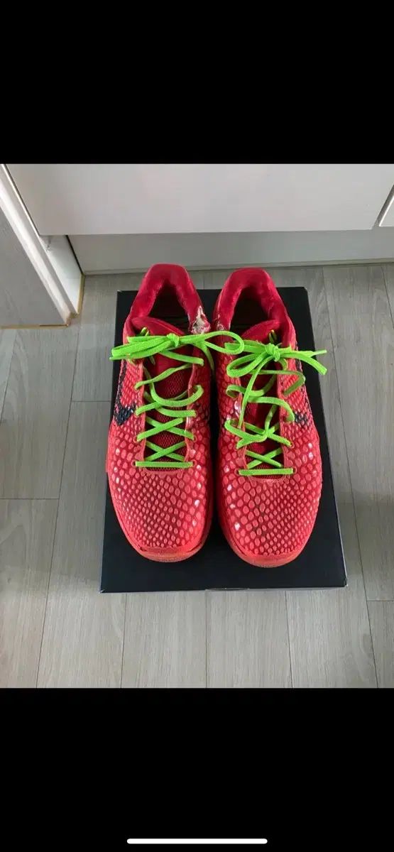 s*g様 コービー6 プロトロ リバースグリンチ 赤 バスケット