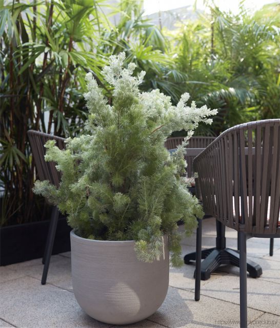 プランター 大型 植木鉢 円形 ファイバーポリレジン 鉢 おしゃれ ソンク ユーポット トール 直径460×高さ510 チャコールグレー 穴あり ガーデニング 園芸用品 庭 オーナメント ガーデン ギフト 贈り物