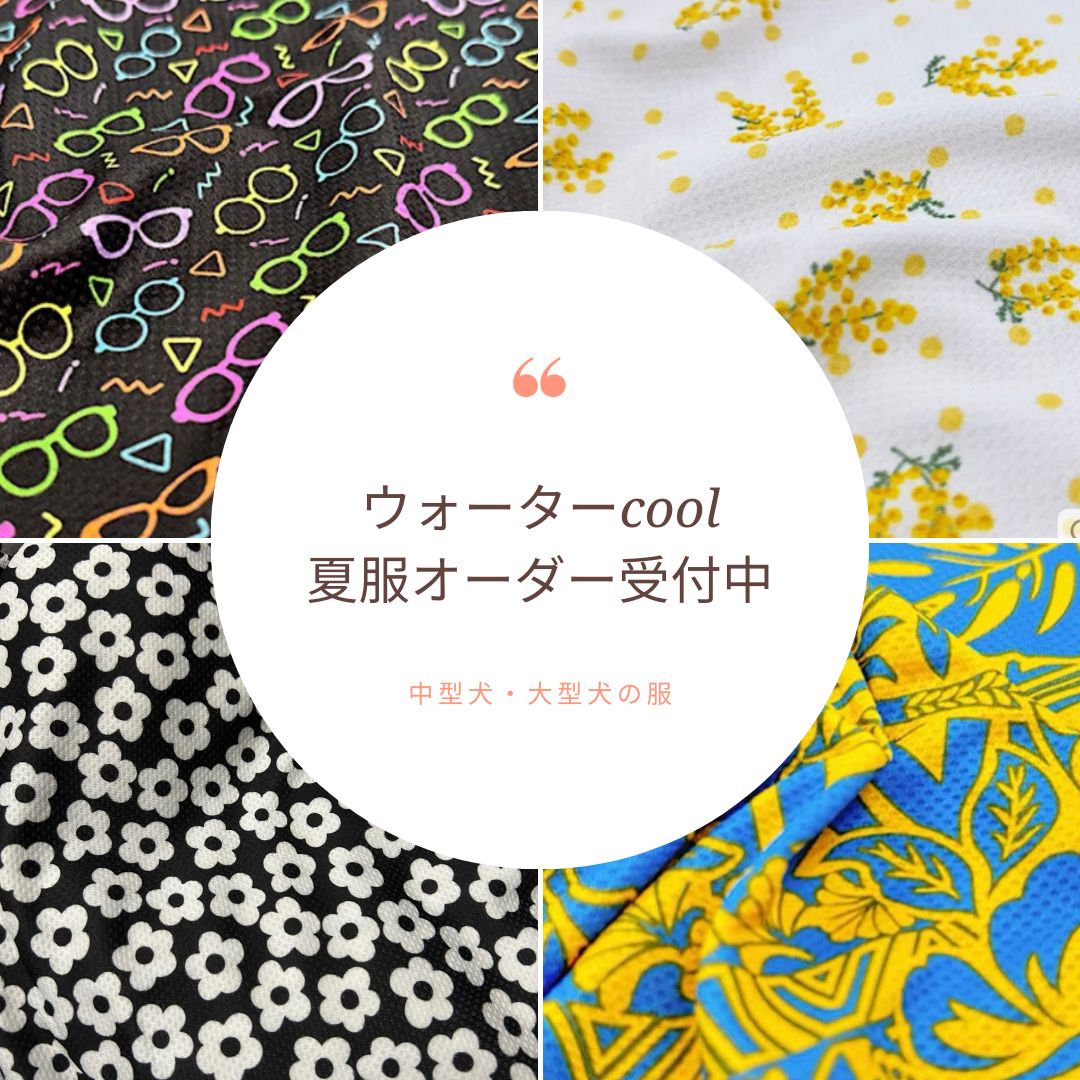 大型犬 犬用フリルシュシュ クリスマス レース 可愛い 犬服 おしゃれ