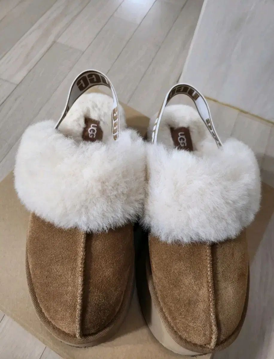 UGG アグ