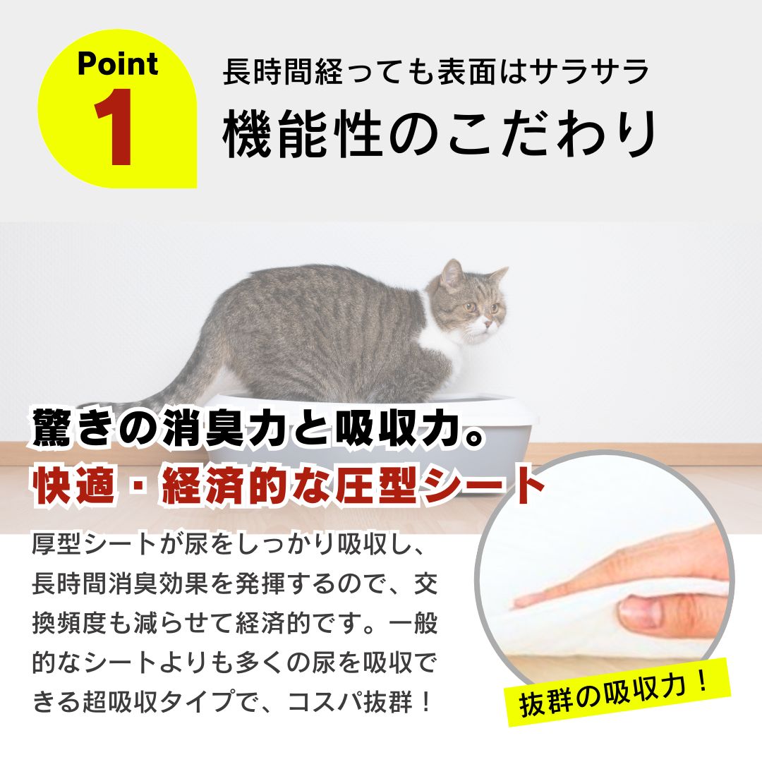 厚型