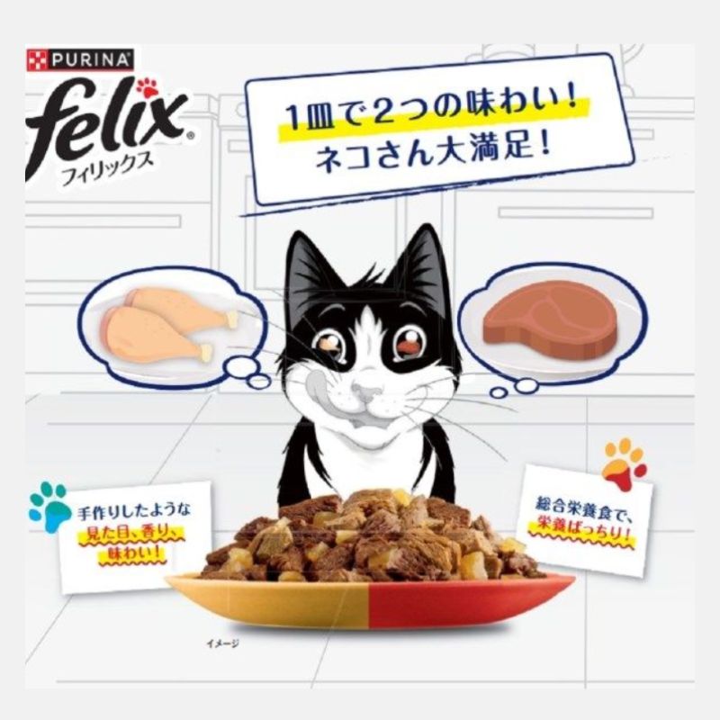 ネスレ　フィリックス　レトルトパウチ　お肉バラエティ　50g 12袋　１６箱 フィリックス パウチ 我慢できない隠し味ゼリー お肉バラエティ ( 50g