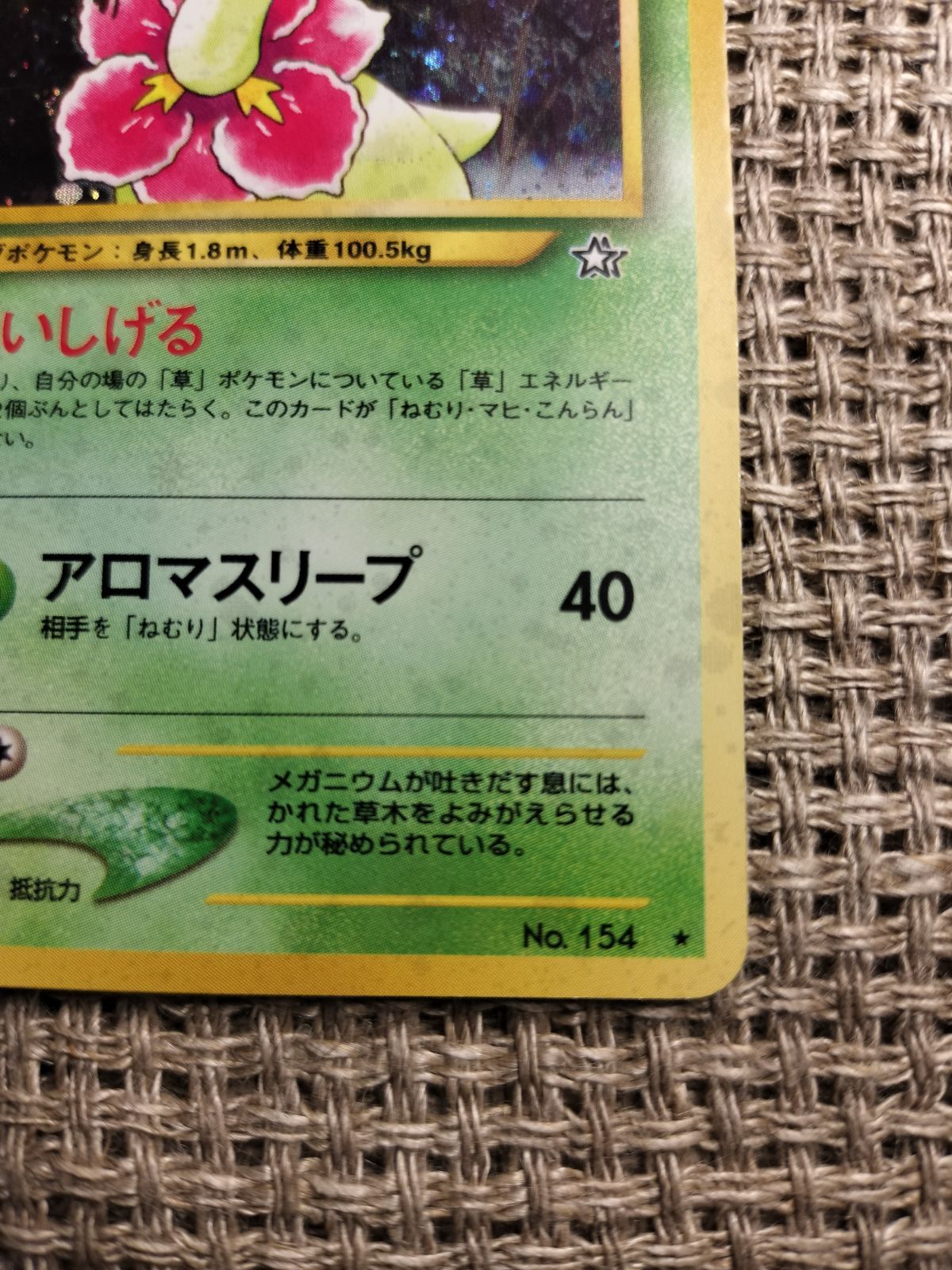 ポケモン - a5　メガニウム　イントロパック　ポケモンカード　まとめ売り Amazon.co.jp: ポケモンカードneo 旧裏面 拡張パック 第1弾「金