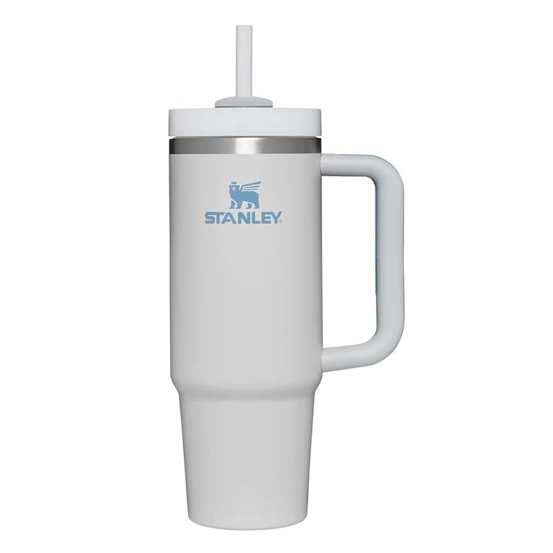 スタンレー STANLEY 水筒 ボトル マグ H2.0 真空スリムクエンチャー 0.88L Foggygray 10-10827-451 ライトグレー ＦＦ 1