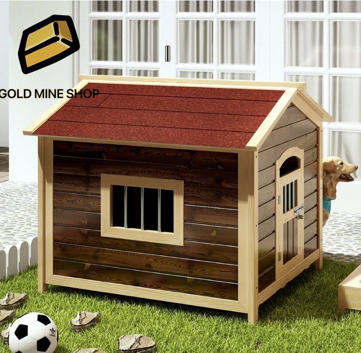 65*55*65 中型犬