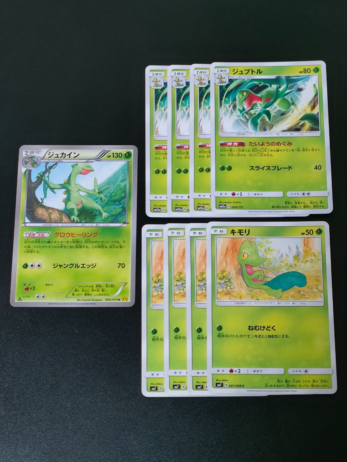 キモリ ジュプトル ジュカイン 進化ライン 9枚 ポケカ