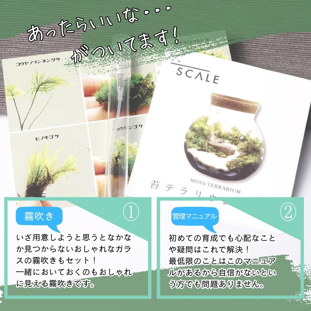観葉植物 新生活