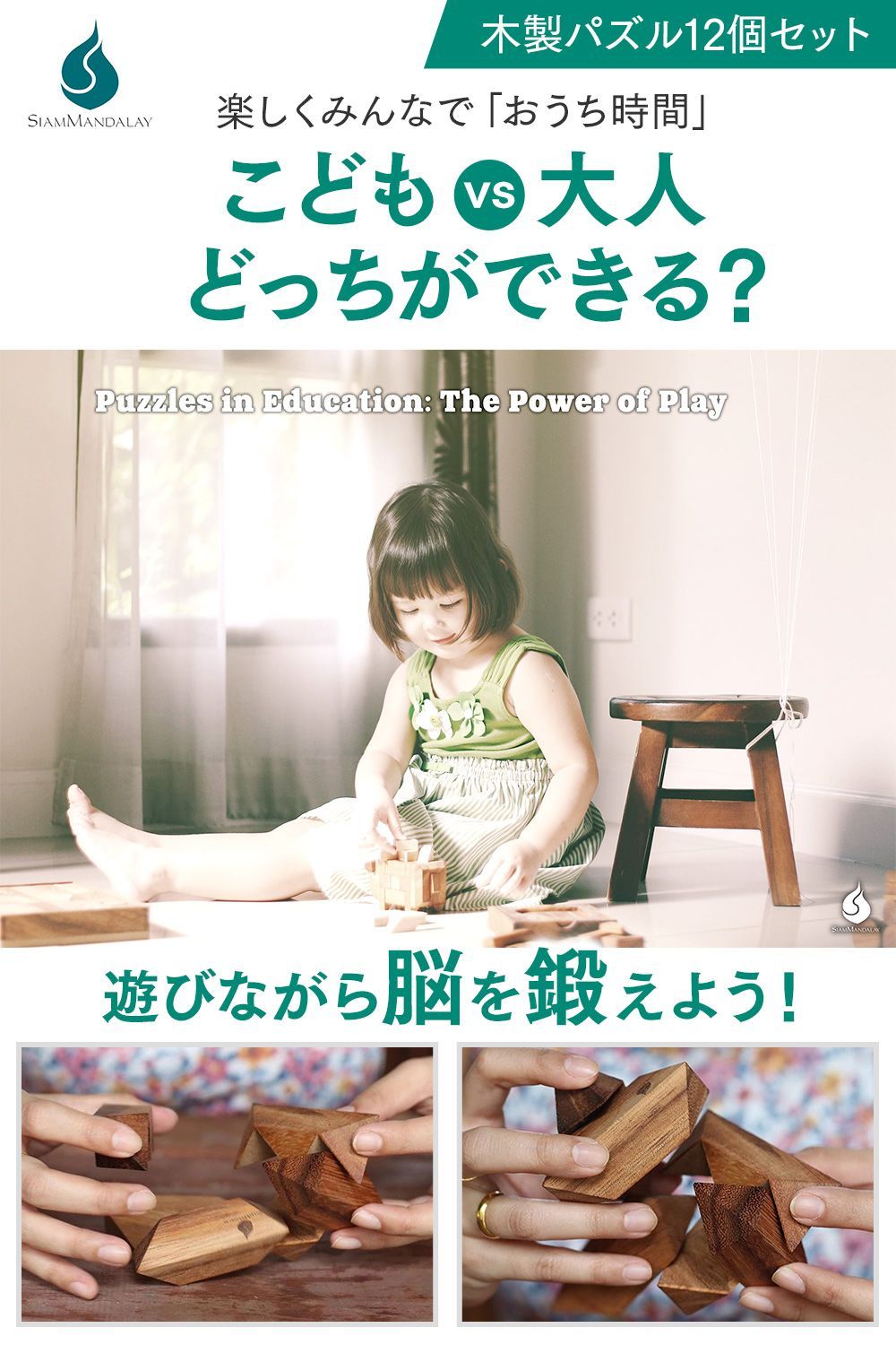 木製パズル 立体パズル