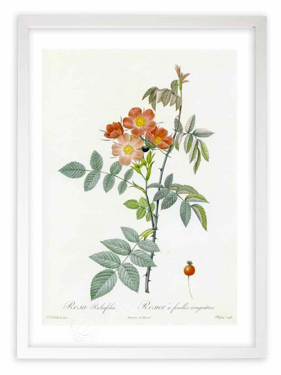 カリフォルニアスタイルの家 ビーチクルーザー ウェルカムボード 置き